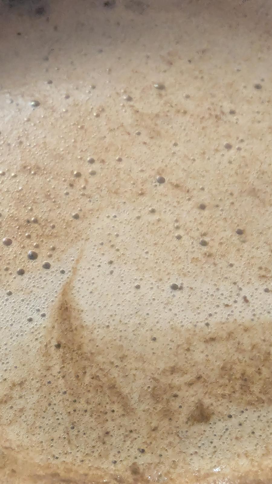 a mat of light brown, bubbly, carbon dioxide bubbles being released from coffee grounds. there are gentle swirls of whites and browns. it's quite foamy!
